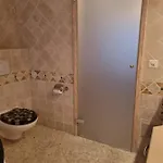 Suzana Омишаль